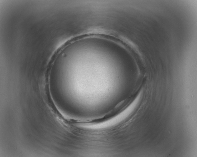 X0000083041264200702021142