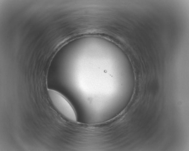 X0000083041265200702021142