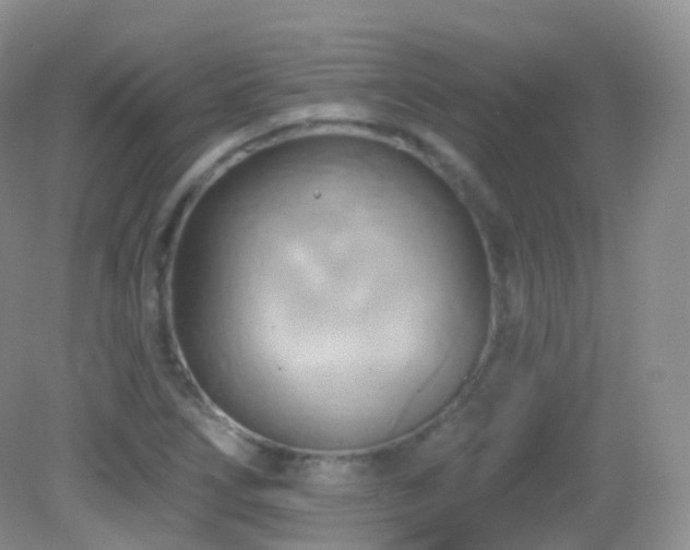 X0000083041266200702021142