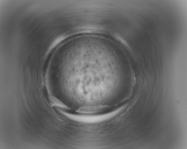 X0000083041267200702021142