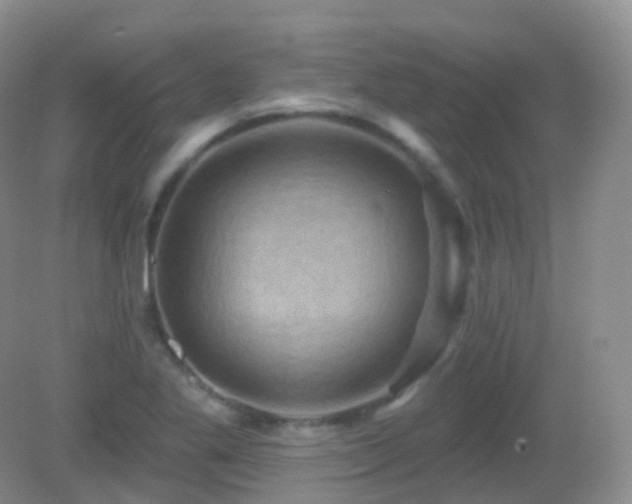 X0000083041269200702021142