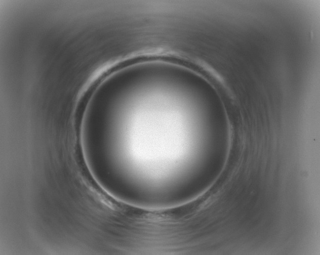 X0000083041270200702021142