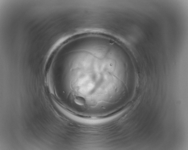 X0000083041271200702021142