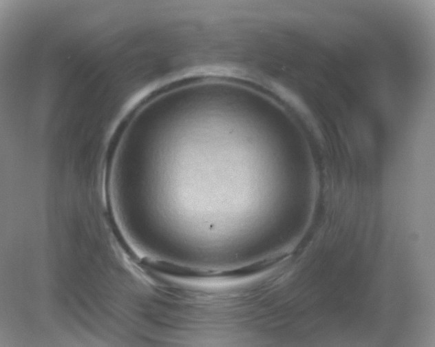 X0000083041272200702021142