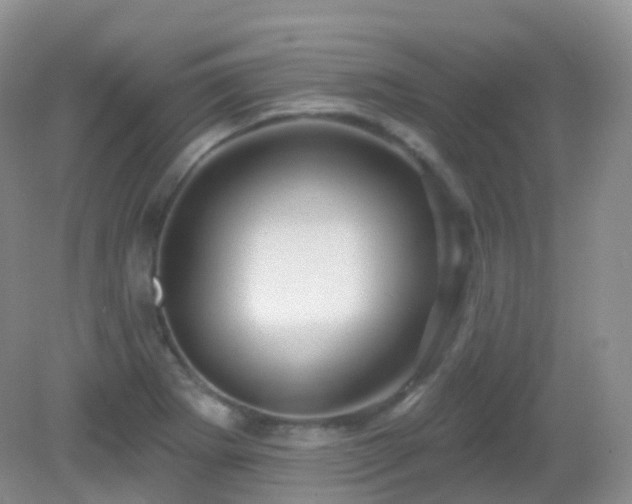 X0000083041273200702021142