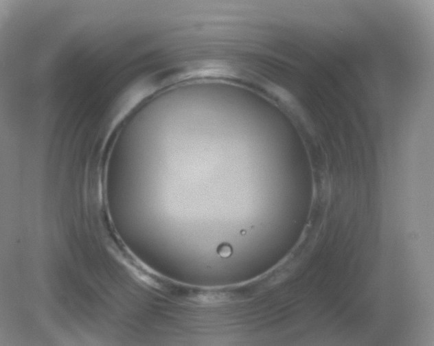 X0000083041274200702021142