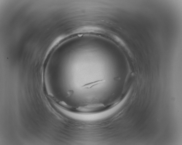 X0000083041275200702021142