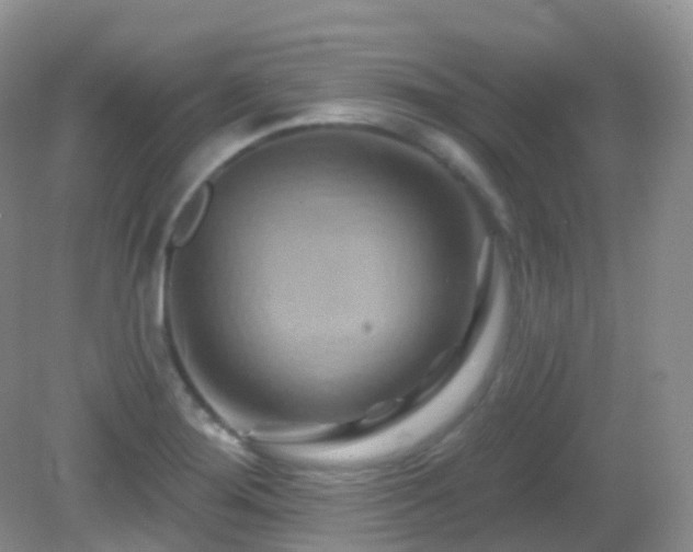 X0000083041276200702021142