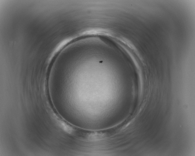 X0000083041277200702021142