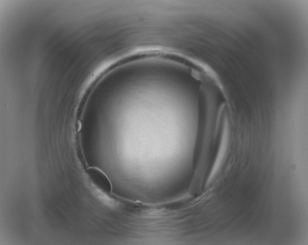 X0000083041279200702021142