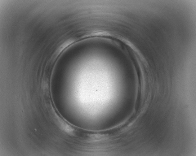 X0000083041281200702021142