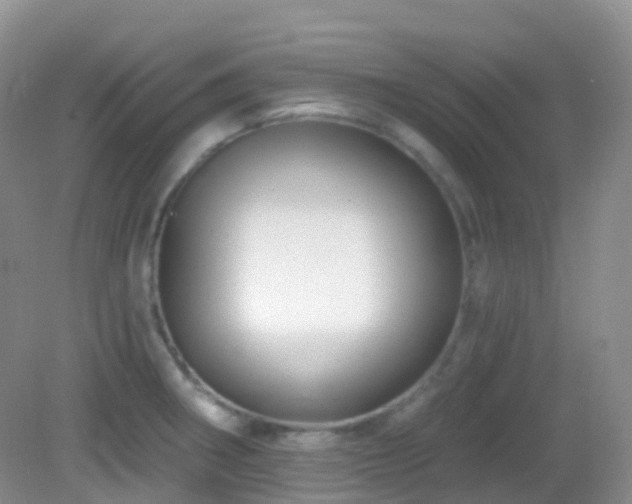 X0000083041282200702021142