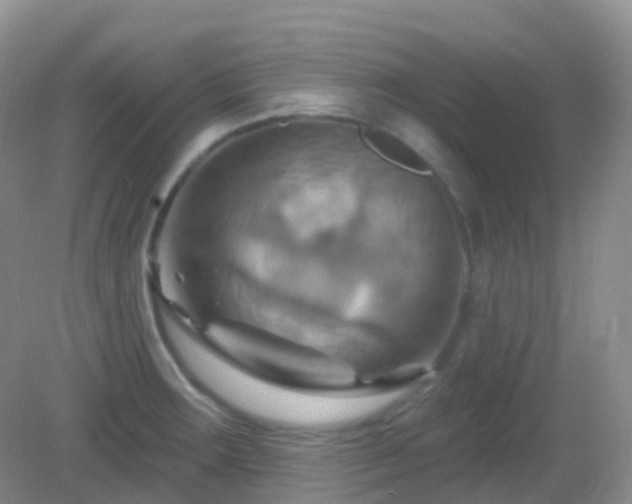 X0000083041283200702021142