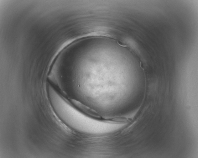 X0000083041284200702021142