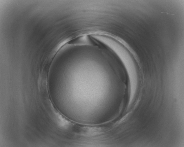 X0000083041289200702021142