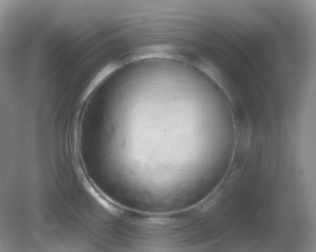 X0000083041290200702021142