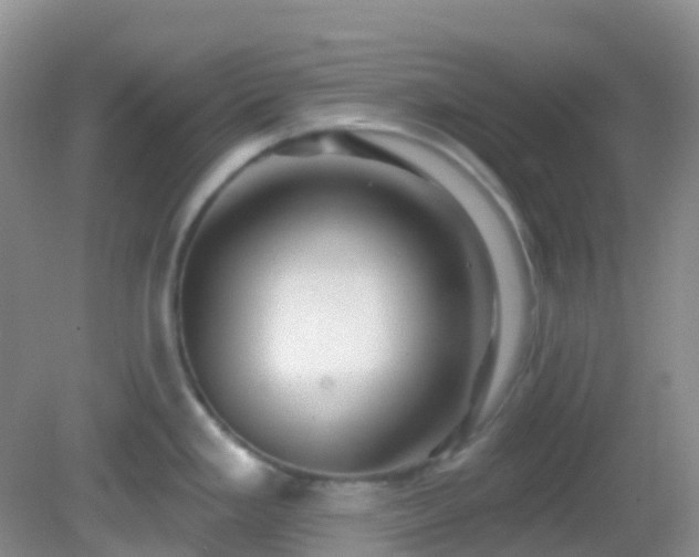 X0000083041293200702021142