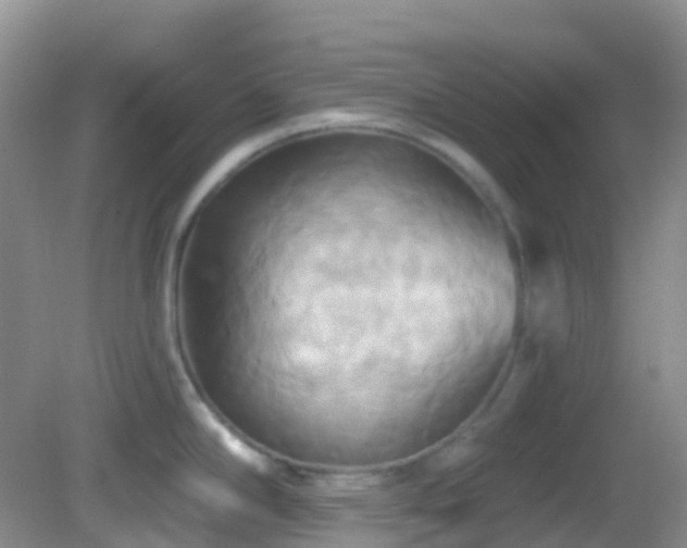 X0000083041294200702021142