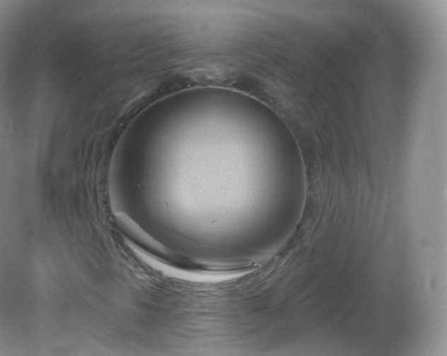 X0000083041297200702021141