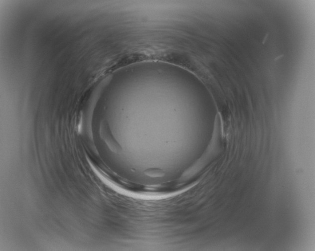 X0000083041298200702021141