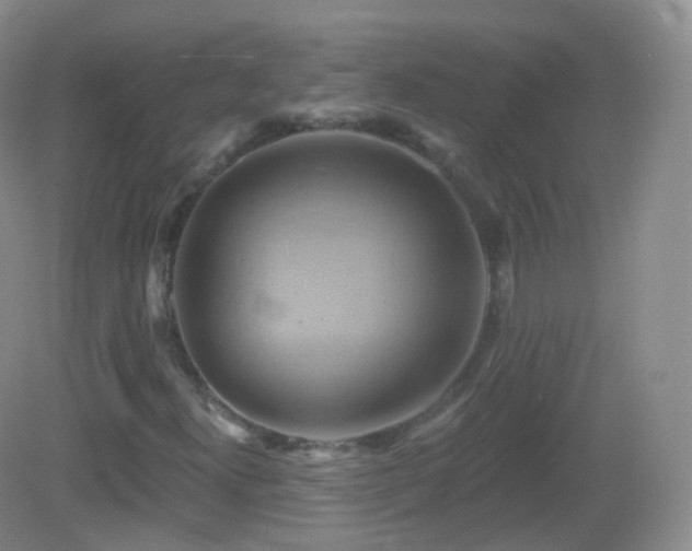 X0000083041300200702021141