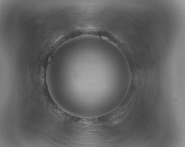 X0000083041301200702021141