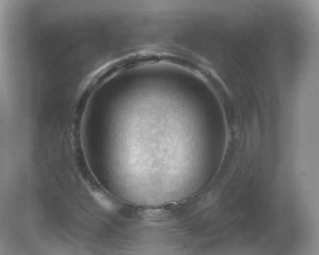 X0000083041304200702021141