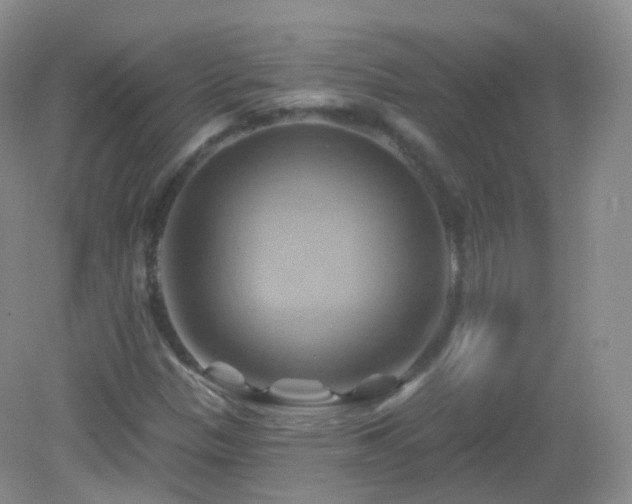 X0000083041305200702021141