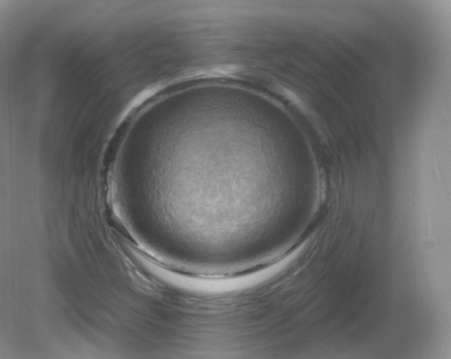 X0000083041308200702021141