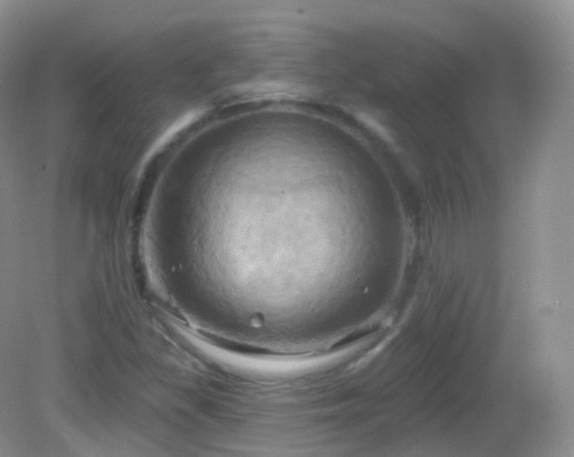 X0000083041309200702021141