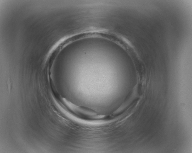 X0000083041310200702021141