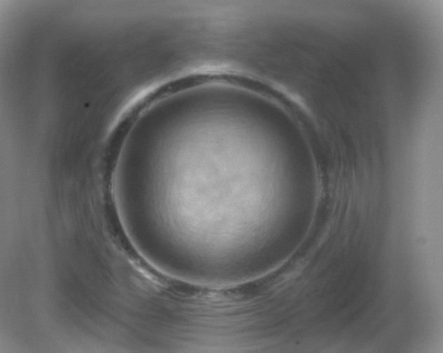 X0000083041311200702021141