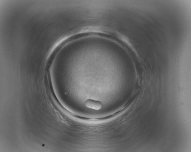 X0000083041312200702021141