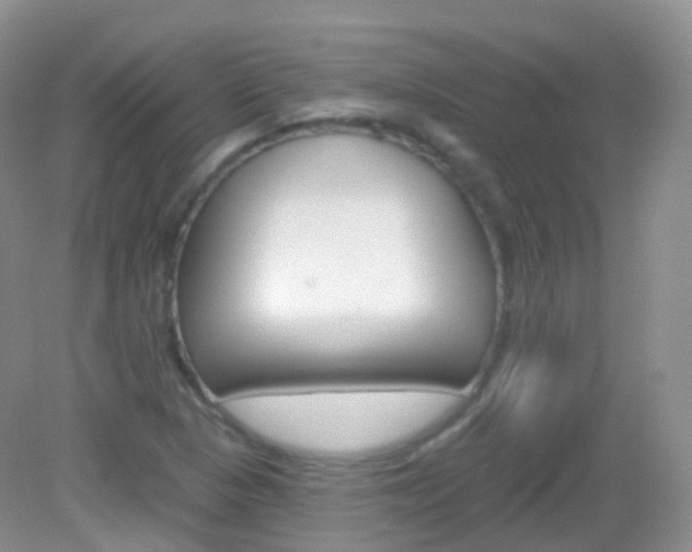 X0000083041313200702021141