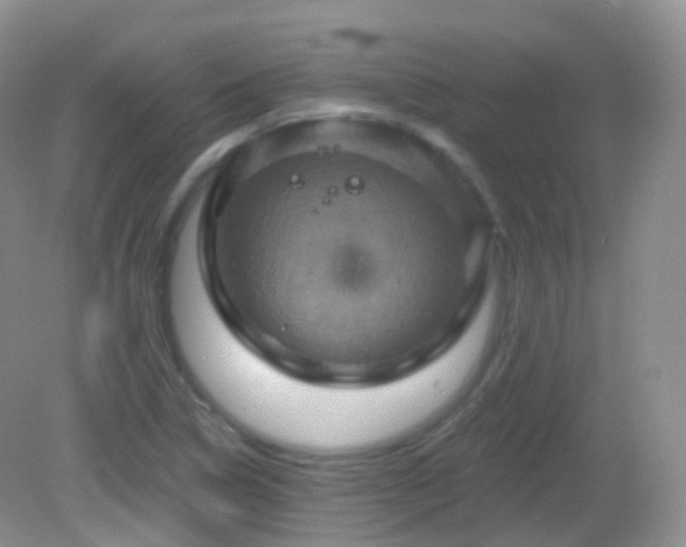 X0000083041314200702021141