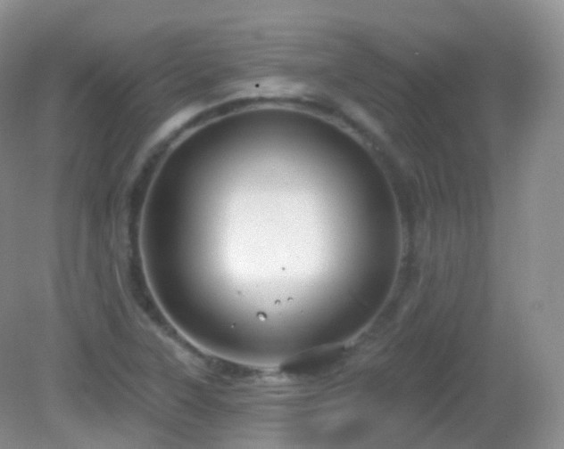 X0000083041315200702021141