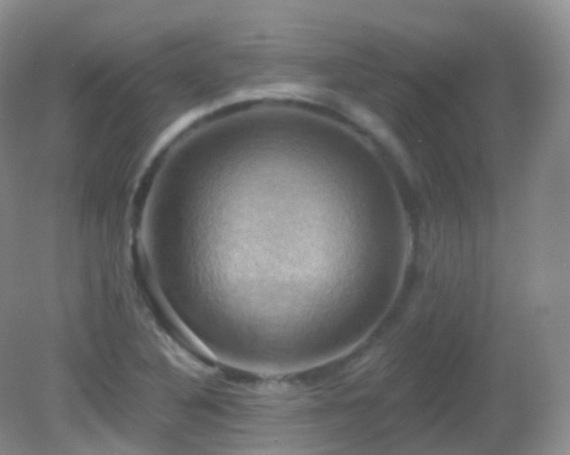 X0000083041316200702021141