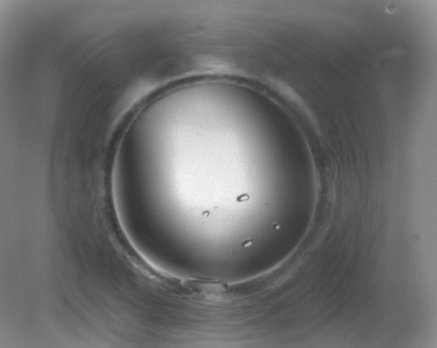 X0000083041318200702021141