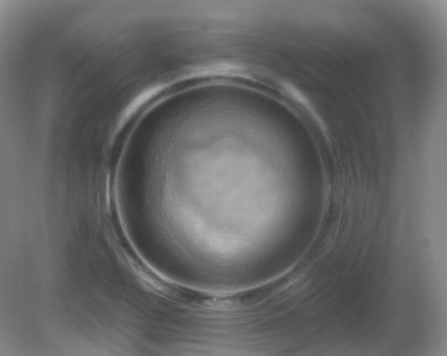 X0000083041320200702021141