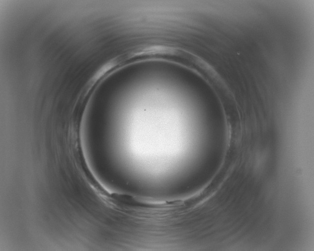 X0000083041321200702021141