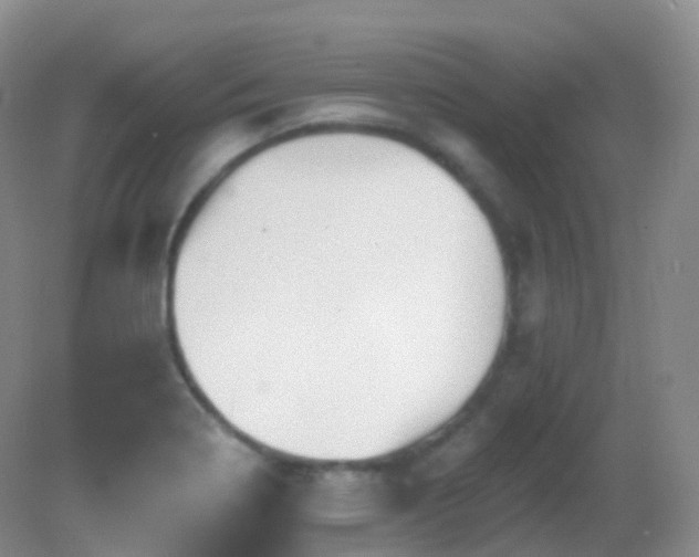 X0000083041322200702021142