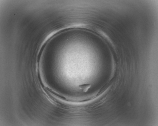 X0000083041324200702021142