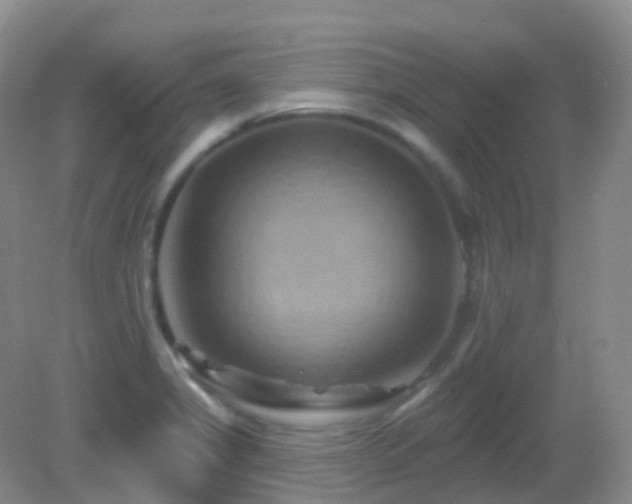 X0000083041325200702021142