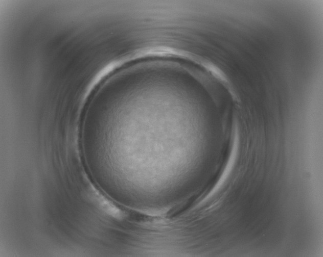 X0000083041326200702021142