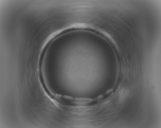 X0000083041327200702021142