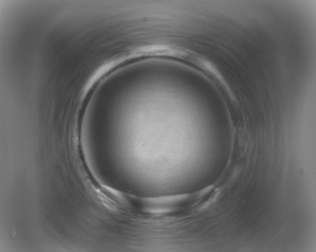 X0000083041328200702021142