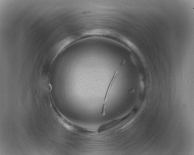 X0000083041329200702021142