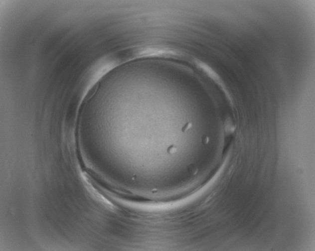 X0000083041330200702021142