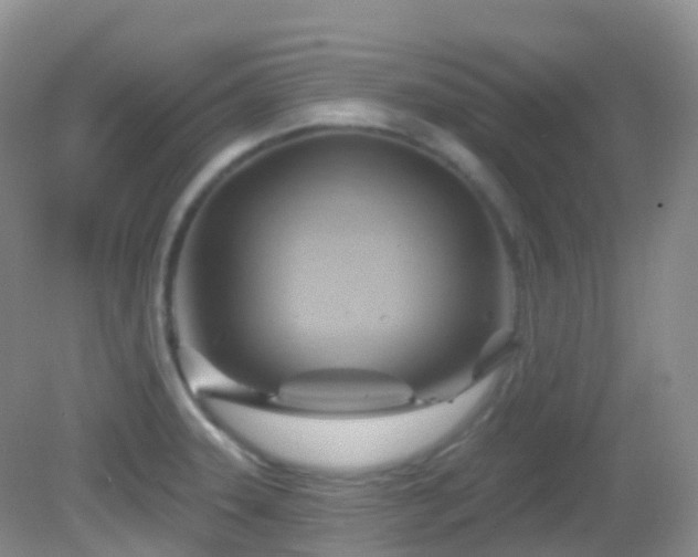 X0000083041331200702021142