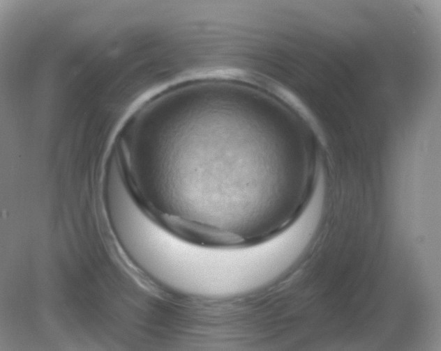 X0000083041332200702021142